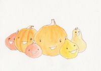 Bunch of tiny pumpkins