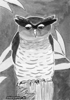 Malay eagle-owl