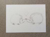 Hedgehog love