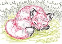 Sleep Fox