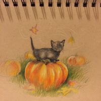 Autumn Kitty