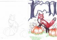 The Fox and the Pumpkin