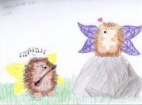 Hedgehog Serenade