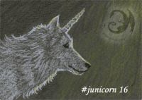 Junicorn 16 - Wolf Queen