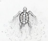 Turtle of Infinity