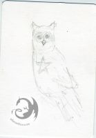 Owl Star