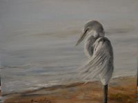Lonely egret