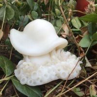 Melty mushroom