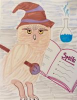 Owl, Wand and Book 