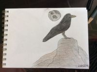 Ravens Stone 