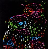 Grumpy owls (1)