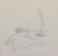 Teeny snail
