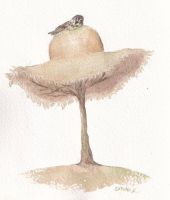 Bird on a hat - on a sunhat-tree
