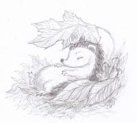 Hedgehog Sleeping Under Autumn Leaves
