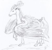 Horned Pegasus