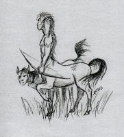 hunting centaurs