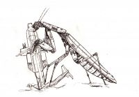 Mechanical Mantis