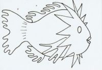 Sun Fish