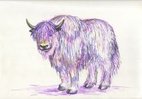 purple yak