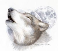 Wolf Moon