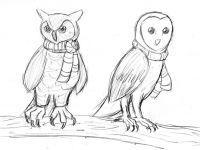 Owls in scarves