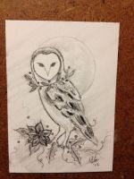 Holly the Owl