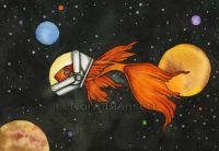 Fish In Space