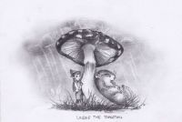 Under the toadstool