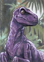 Purple Velociraptor