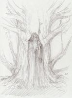 Oak Druid Dreaming#1