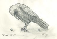 Raven's Grief