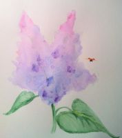 Lilac Ladybug
