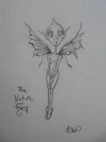 The Nature Fairy 