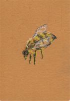 A Bee