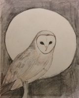 Full Moon Barn Owl 