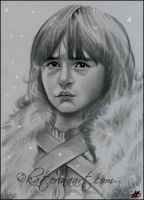 Bran Stark from  GAME OF THRONES