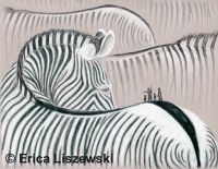 Crossing Zebra