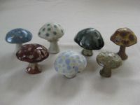 Seven mushrooms